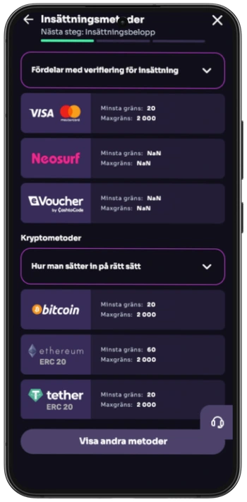 Insättningsmetoder på svenskt casino med Visa och krypto